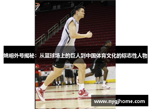 姚明外号揭秘：从篮球场上的巨人到中国体育文化的标志性人物