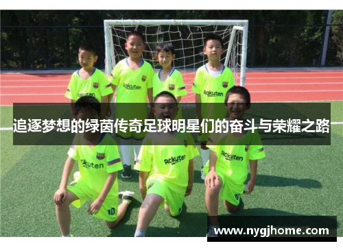 追逐梦想的绿茵传奇足球明星们的奋斗与荣耀之路